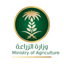 اشراف هندسي